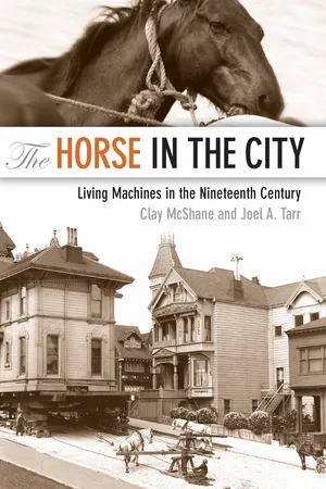 The Horse in the City