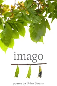 Imago_cover