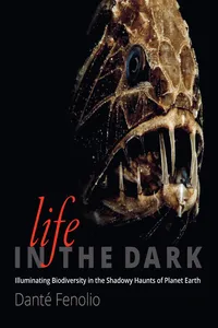 Life in the Dark_cover