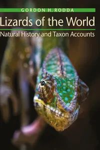 Lizards of the World_cover