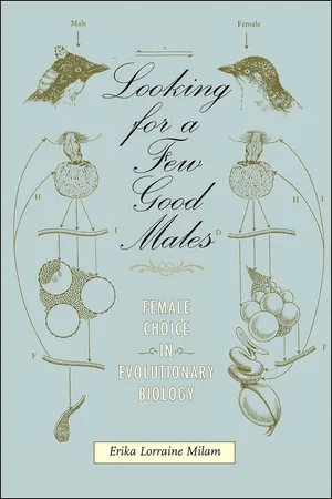 Looking for a Few Good Males