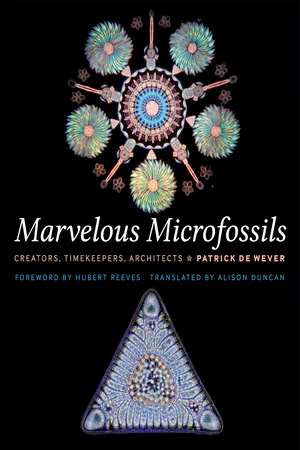 Marvelous Microfossils