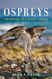 Ospreys_cover