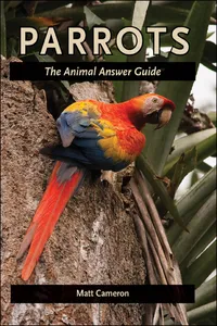 Parrots_cover
