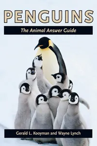 Penguins_cover