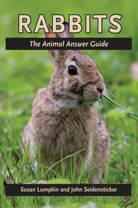 Rabbits_cover