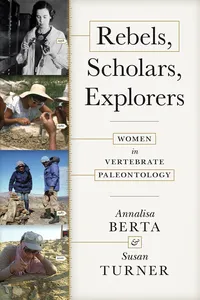 Rebels, Scholars, Explorers_cover