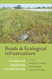 Roads and Ecological Infrastructure_cover