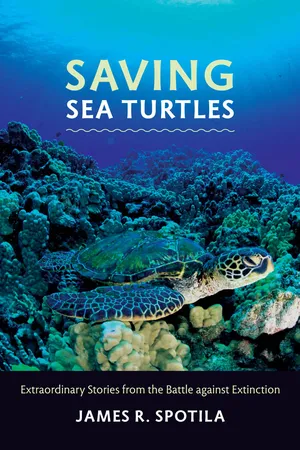 Saving Sea Turtles