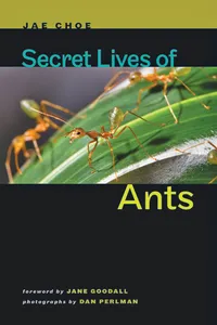 Secret Lives of Ants_cover
