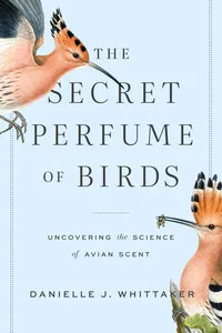 The Secret Perfume of Birds_cover