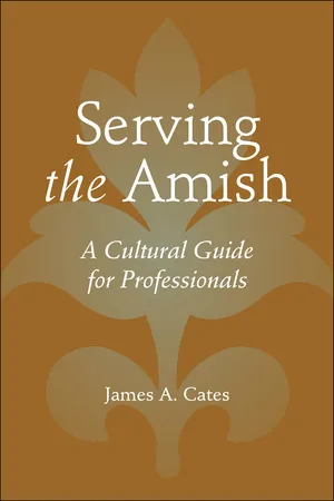 Serving the Amish