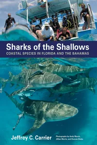 Sharks of the Shallows_cover