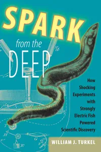 Spark from the Deep_cover