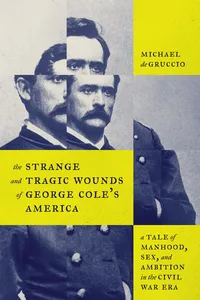 The Strange and Tragic Wounds of George Cole's America_cover