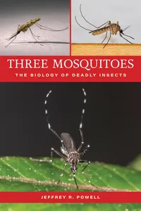 Three Mosquitoes_cover