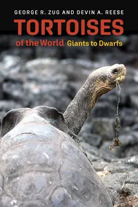 Tortoises of the World_cover