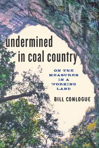Undermined in Coal Country_cover