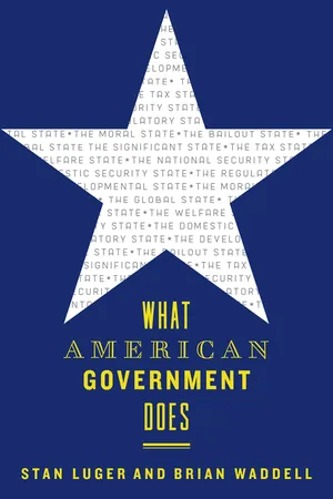 What American Government Does