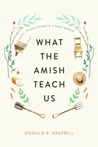 What the Amish Teach Us_cover