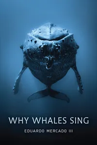 Why Whales Sing_cover
