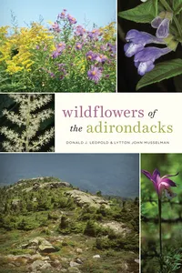 Wildflowers of the Adirondacks_cover