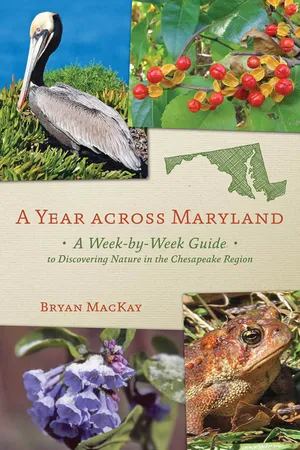 A Year across Maryland