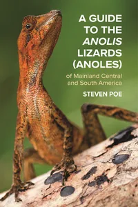 A Guide to the Anolis Lizards of Mainland Central and South America_cover