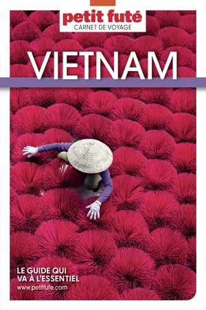 Guide Vietnam 2025 Carnet Petit Futé