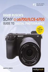 David Busch's Sony Alpha a6700/ILCE-6700 Guide to Digital Photography_cover