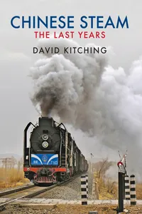 Chinese Steam_cover