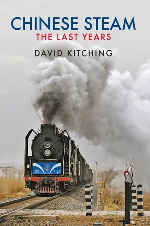 Chinese Steam