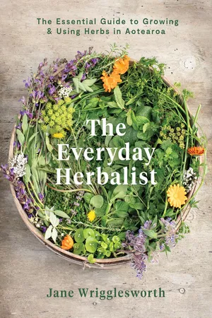 The Everyday Herbalist