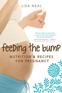Feeding the Bump_cover