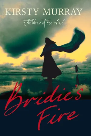 Bridie's Fire