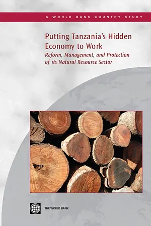 Putting Tanzania's Hidden Economy to Work