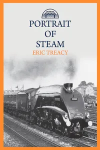 Portrait of Steam_cover
