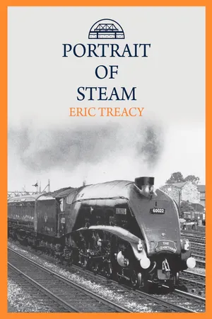 Portrait of Steam