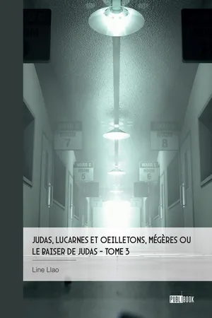 Judas, lucarnes et oeilletons, Mégères ou Le baiser de Judas - Tome 3
