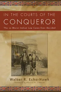 In the Courts of the Conquerer_cover