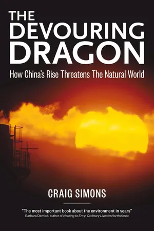 The Devouring Dragon