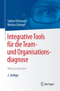 Integrative Tools für die Team- und Organisationsdiagnose_cover