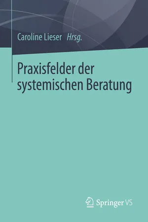 Praxisfelder der systemischen Beratung