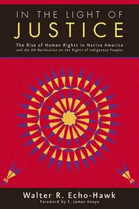 In the Light of Justice_cover