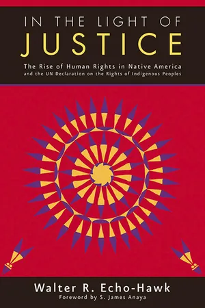 In the Light of Justice