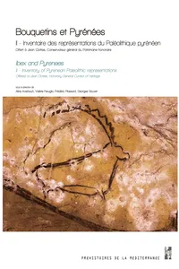 Bouquetins et Pyrénées_cover