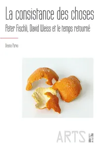 La consistance des choses_cover