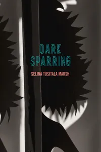 Dark Sparring_cover