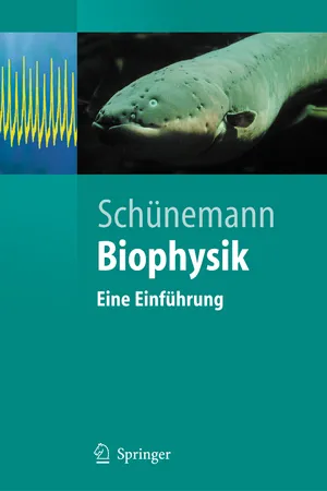Biophysik
