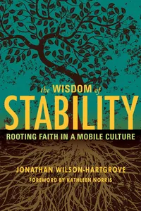 The Wisdom of Stability_cover